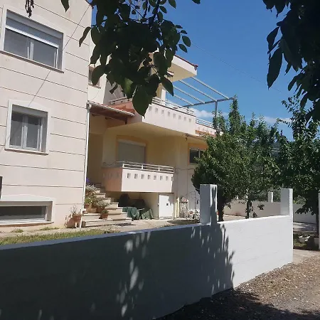 Polina سكالا بوتامياس